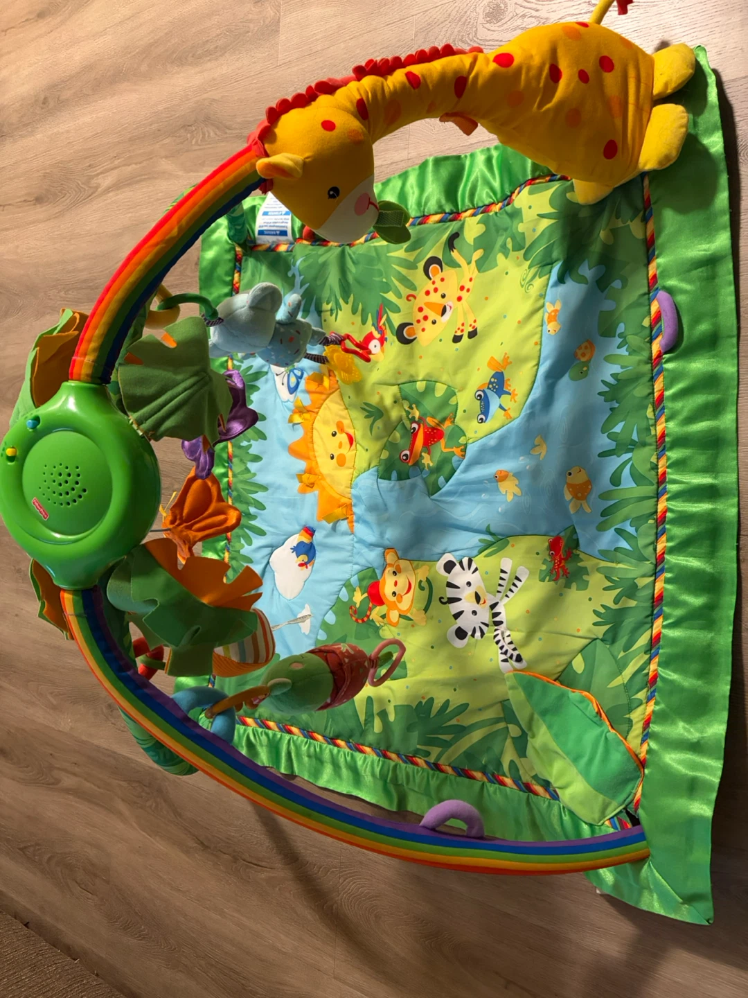 Baby Play Gym