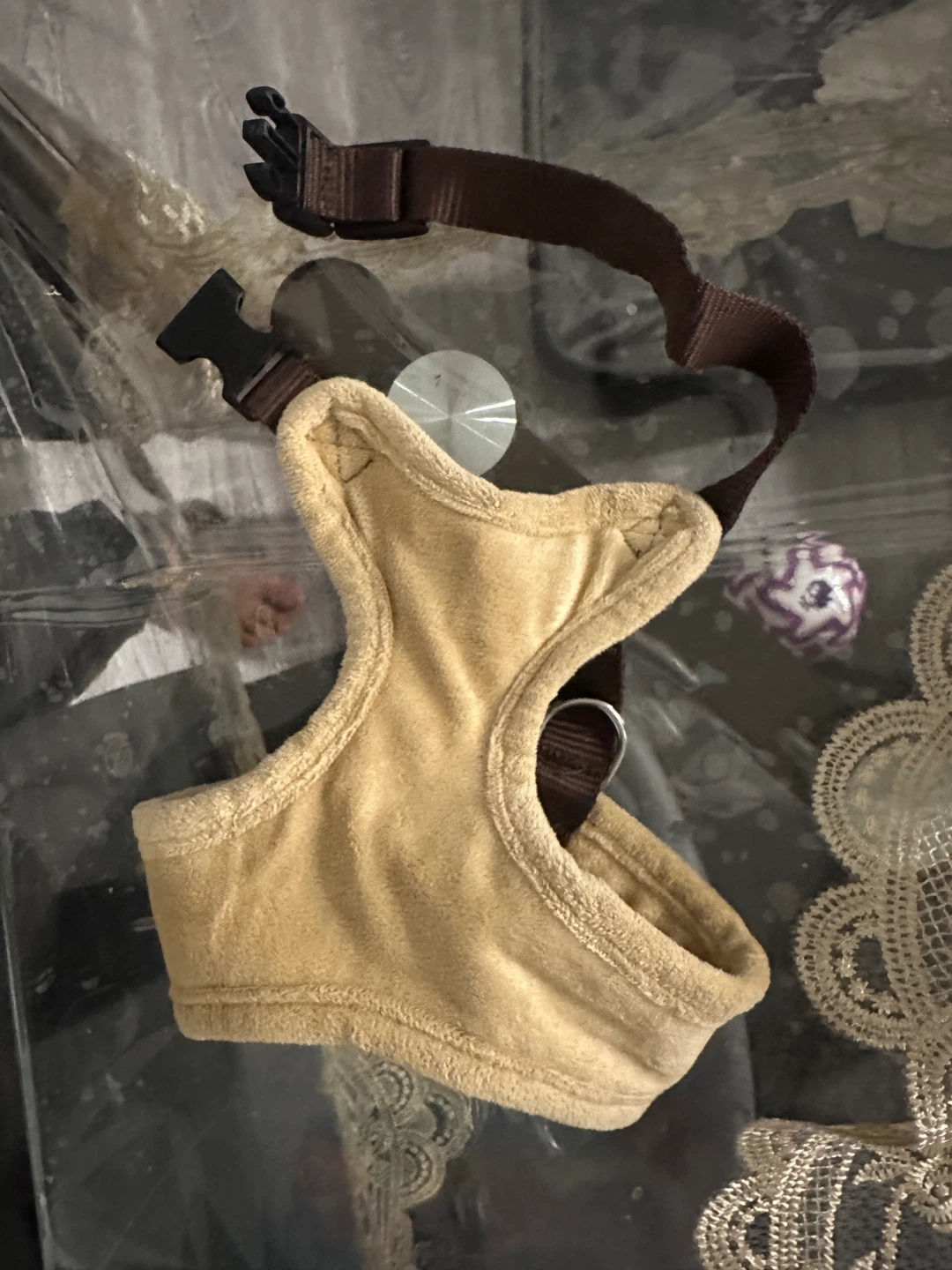 Pet Harness Set