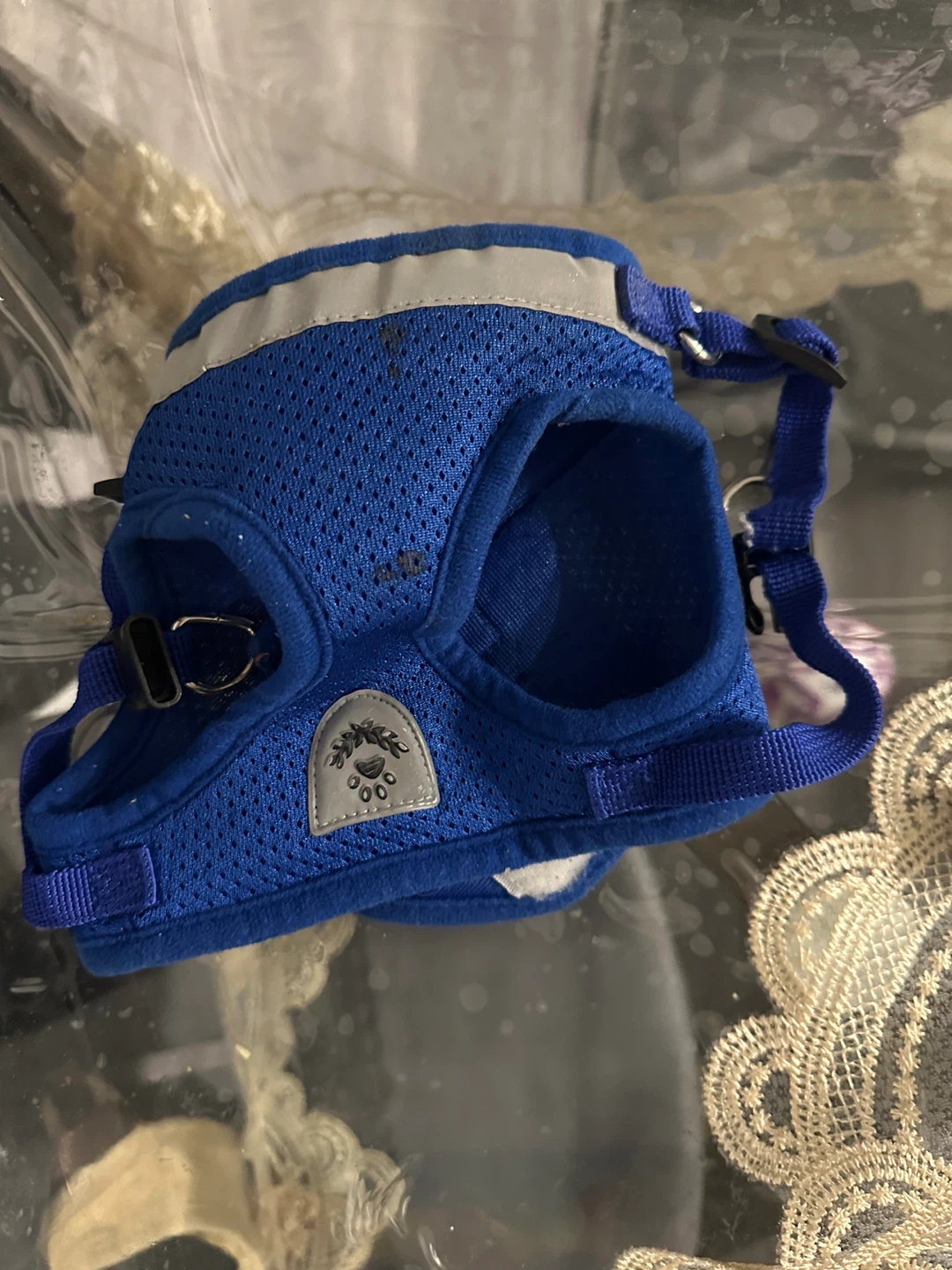 Pet Harness Set - photo 2