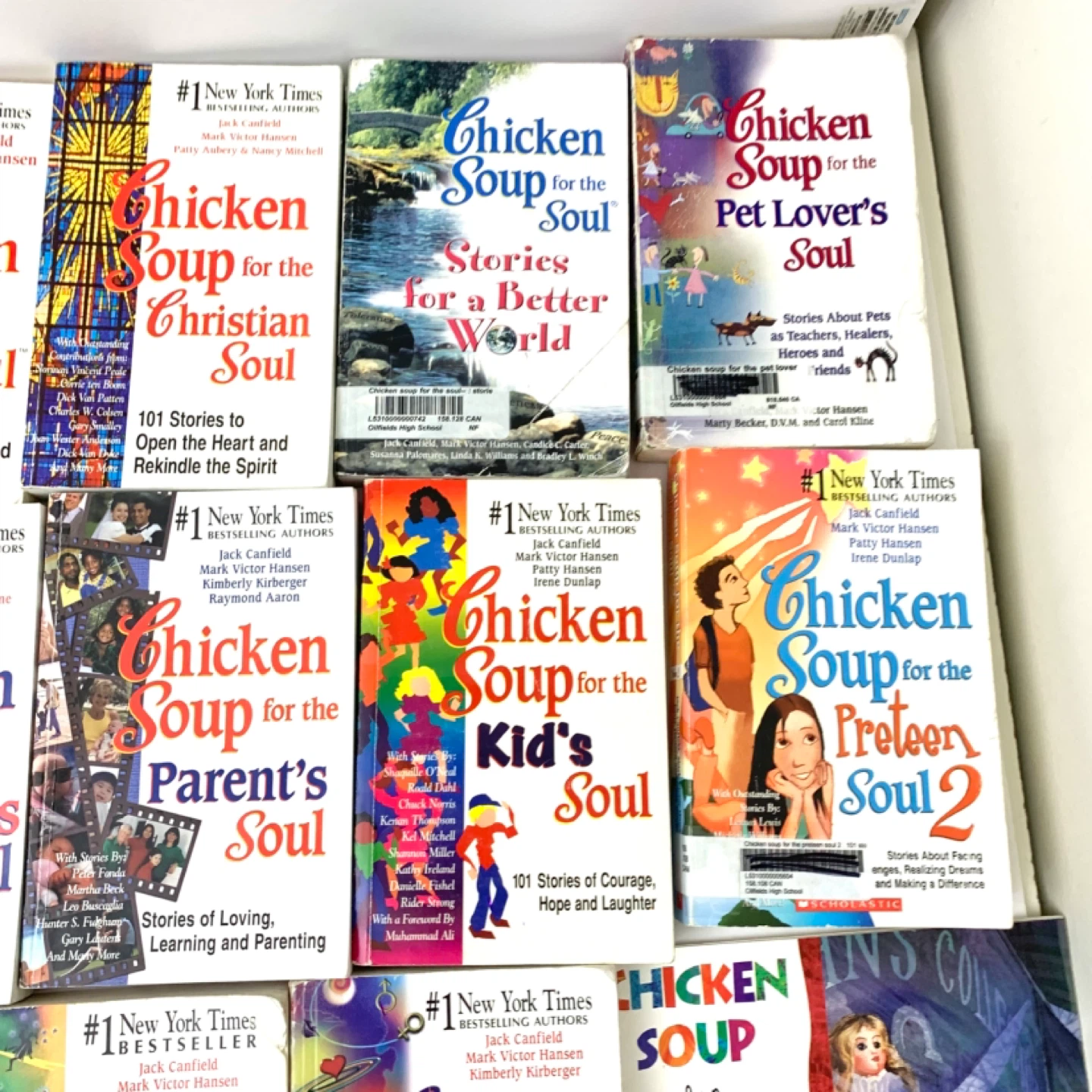 Chicken Soup Soul Book Lot Inspirational Self Help 17 Books - photo 3