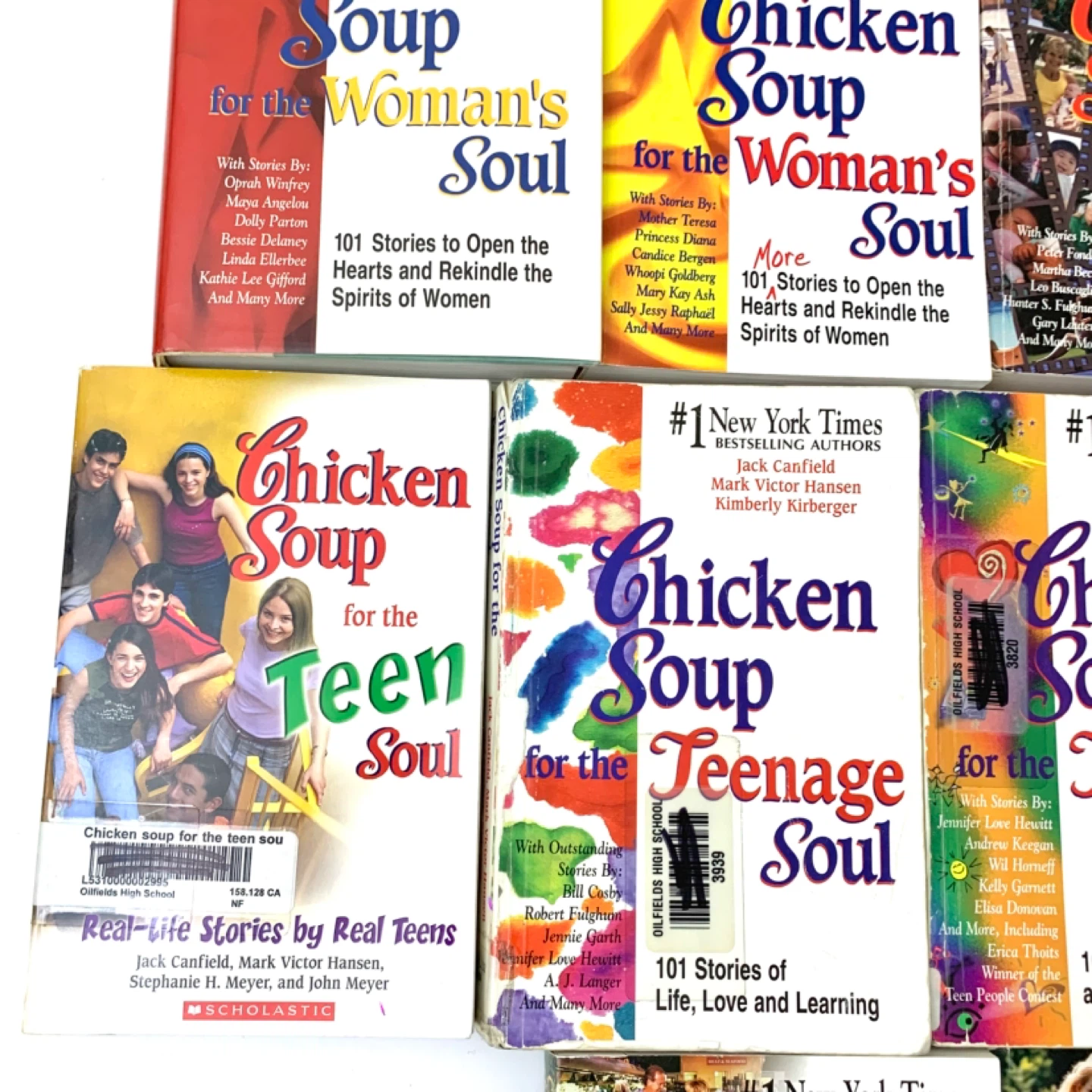 Chicken Soup Soul Book Lot Inspirational Self Help 17 Books - photo 4