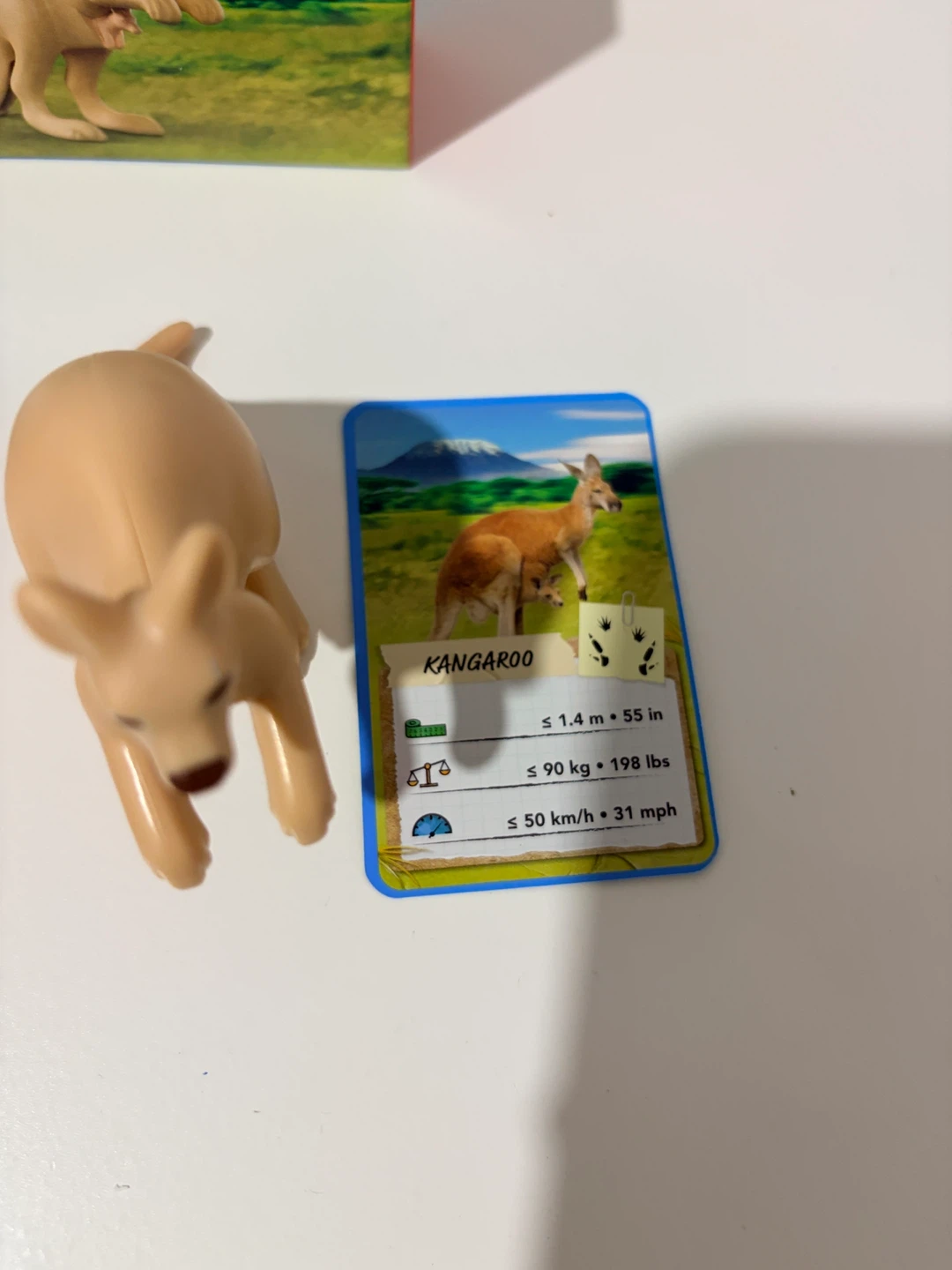 Kangaroo Toy with Information Card
