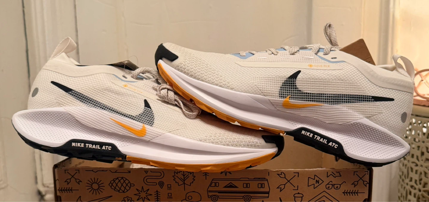 Nike Pegasus Trail GORE-TEX Men's Running Shoes