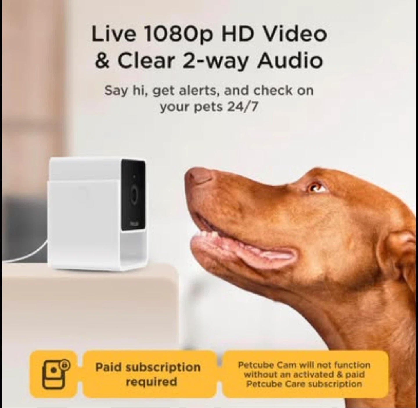 Petcube Pet Camera
