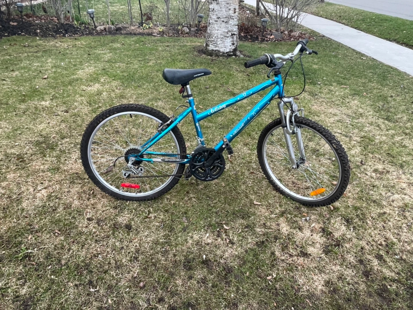 Blue Mountain Bike - photo 2