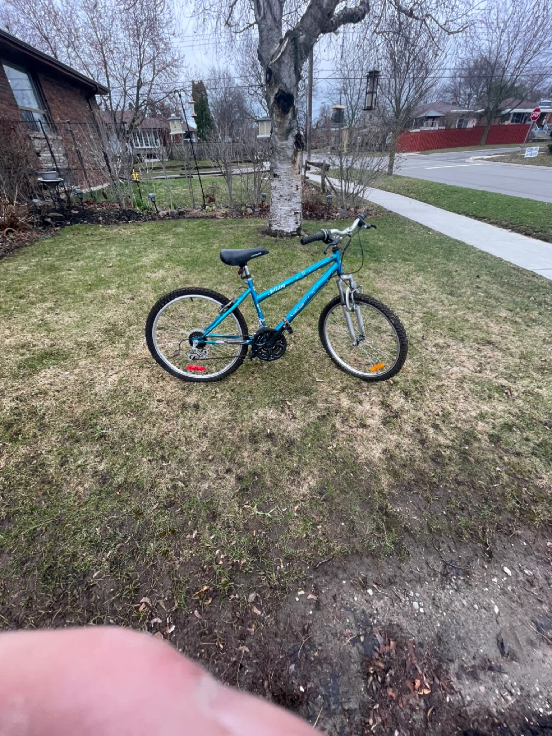 Blue Mountain Bike - photo 4