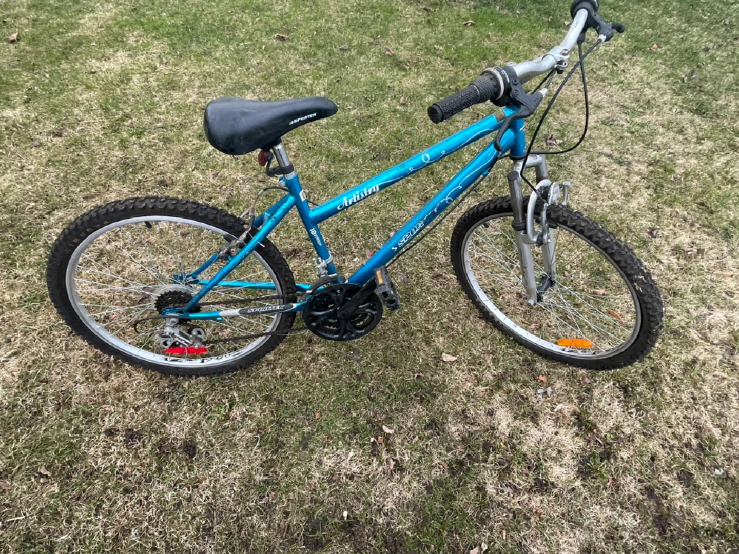 Blue Mountain Bike