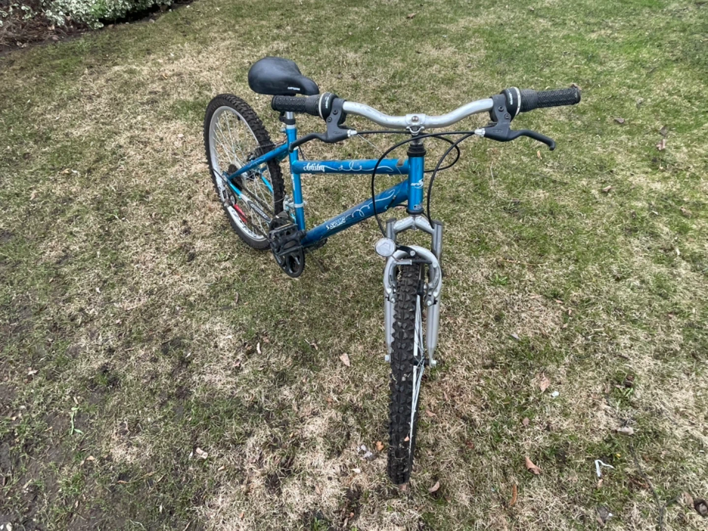 Blue Mountain Bike - photo 3