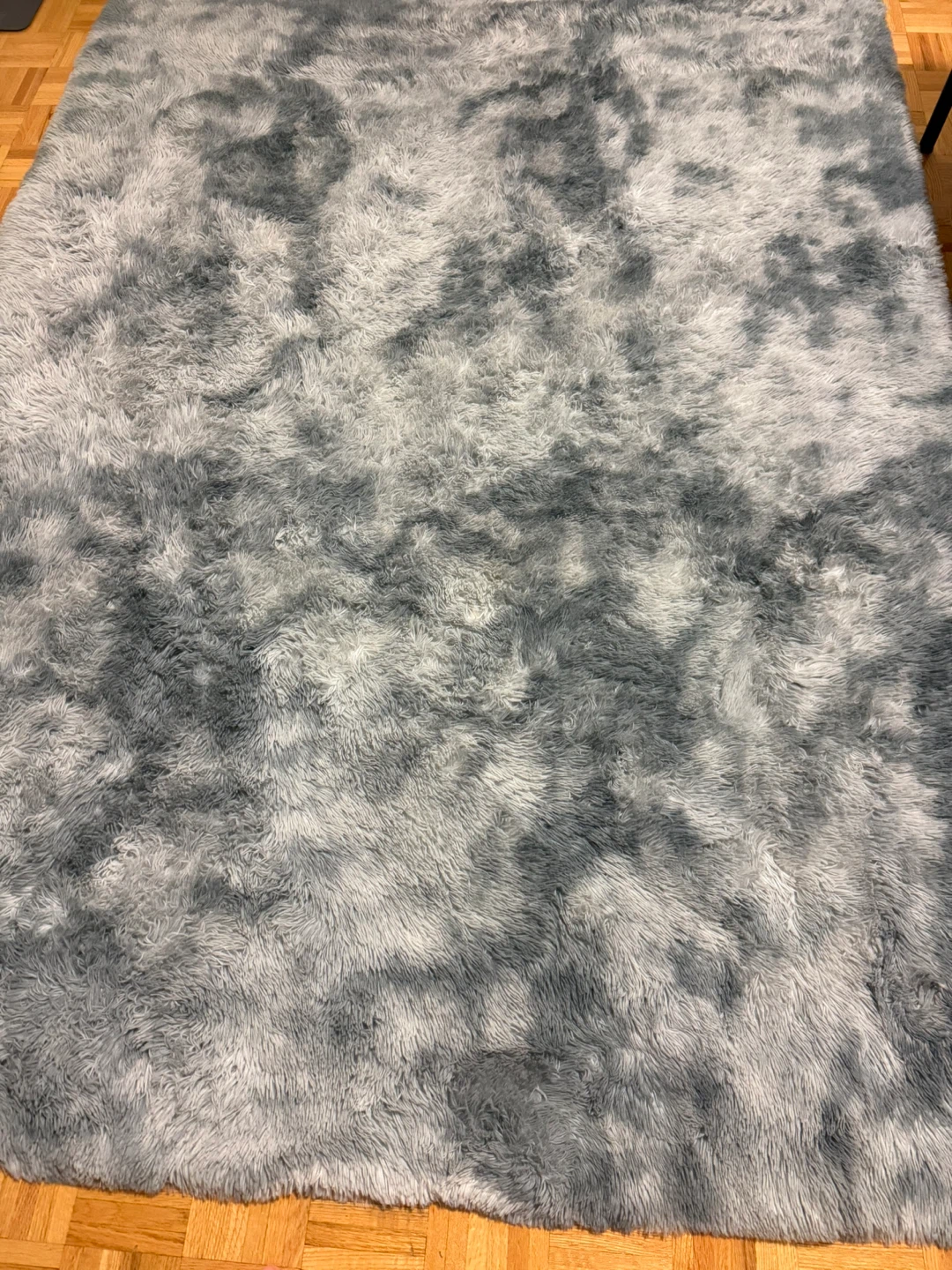 Grey Shag Rug