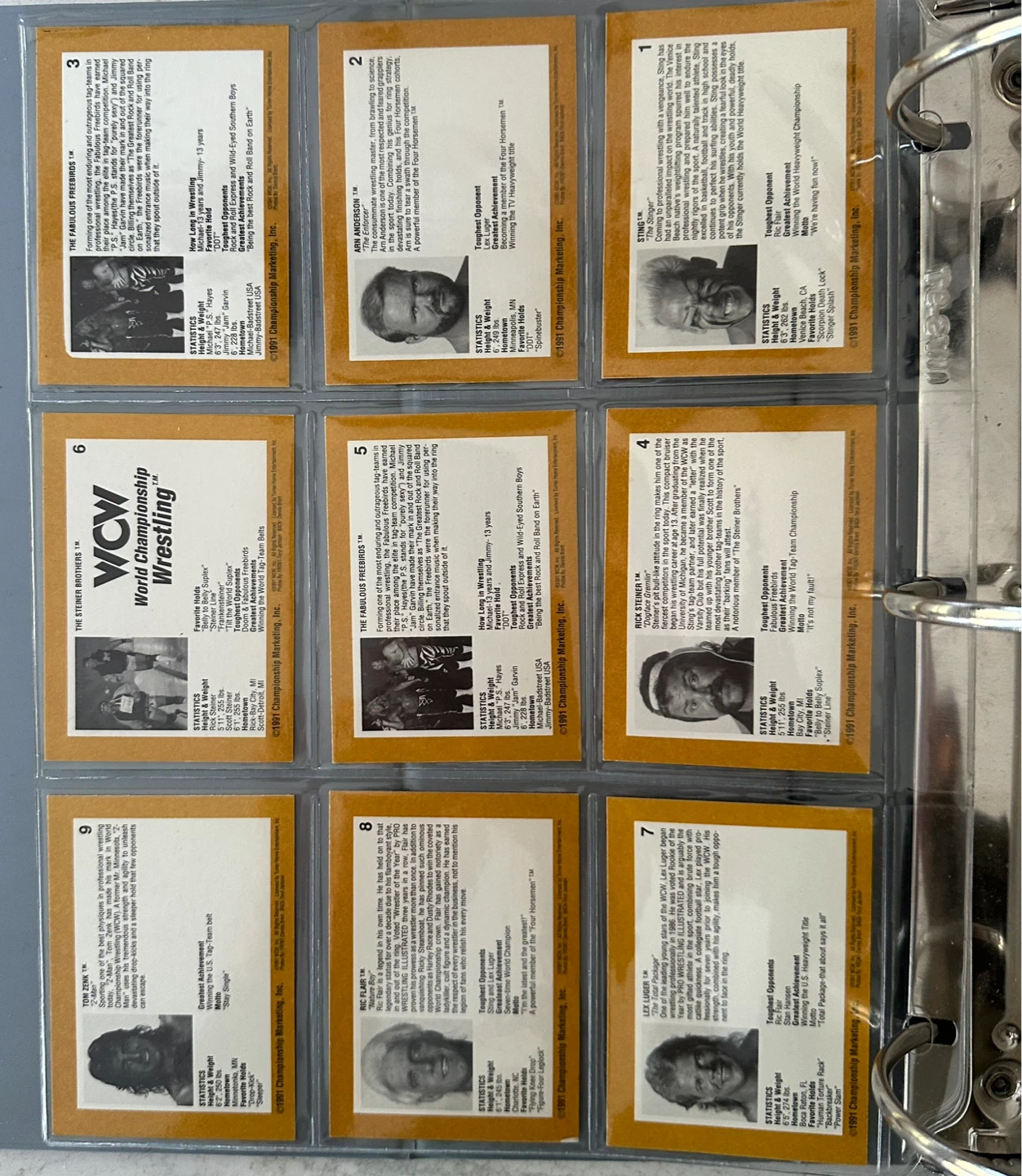 1991 WCW WRESTLING SERIES CARDS - photo 2