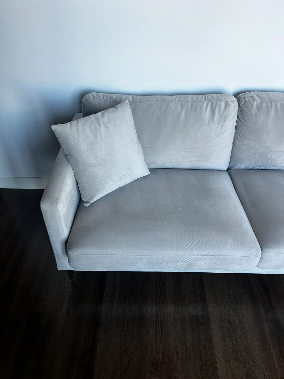 Light Gray Velvet Sofa with 2 Accent Pillows - photo 4