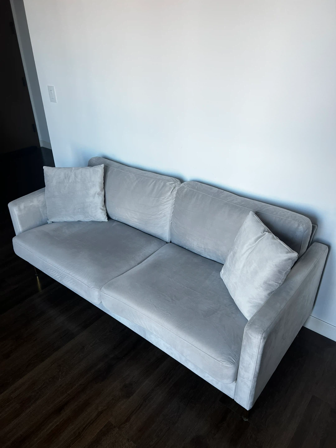Light Gray Velvet Sofa with 2 Accent Pillows - photo 2
