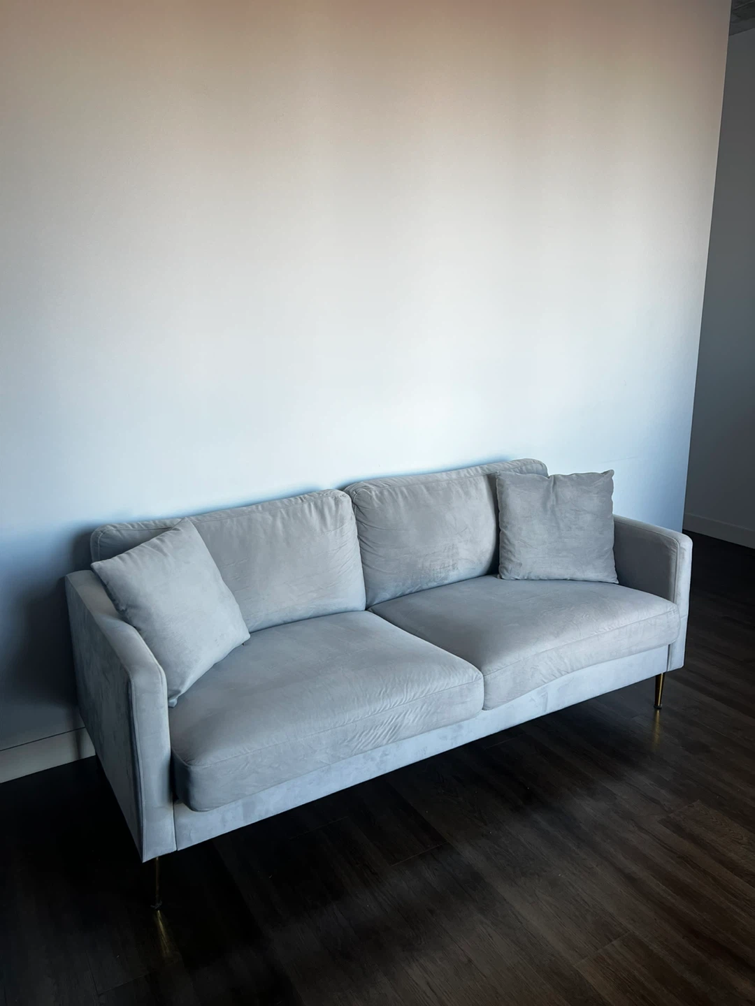 Light Gray Velvet Sofa with 2 Accent Pillows