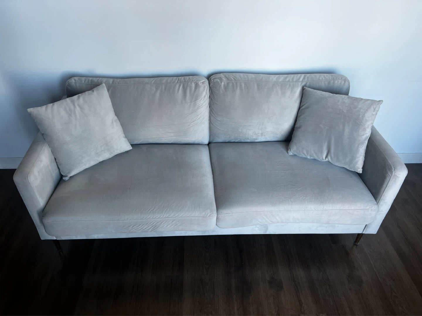 Light Gray Velvet Sofa with 2 Accent Pillows - photo 5
