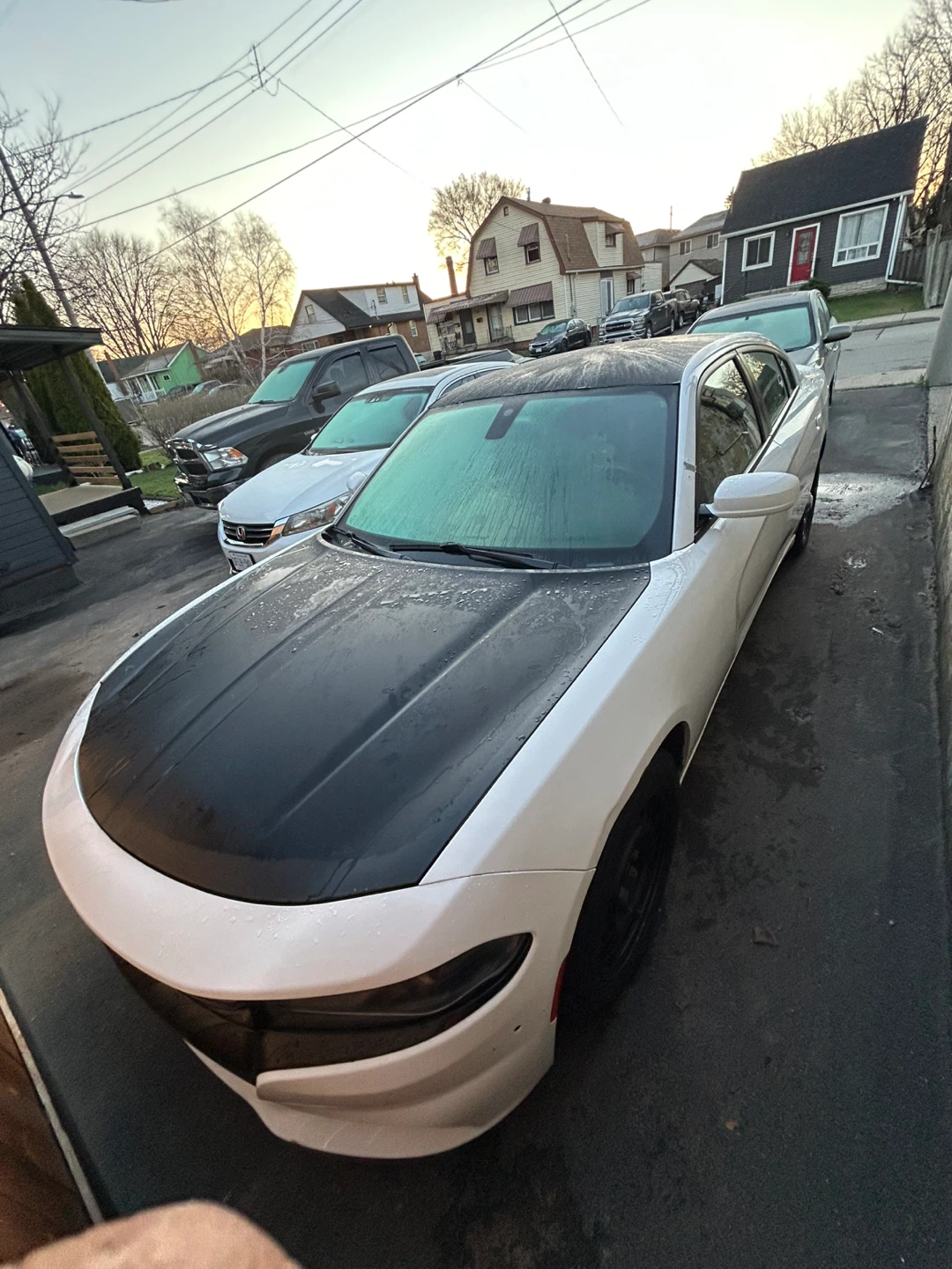 White Dodge Charger