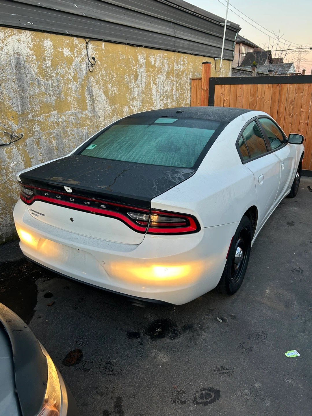 White Dodge Charger - photo 4