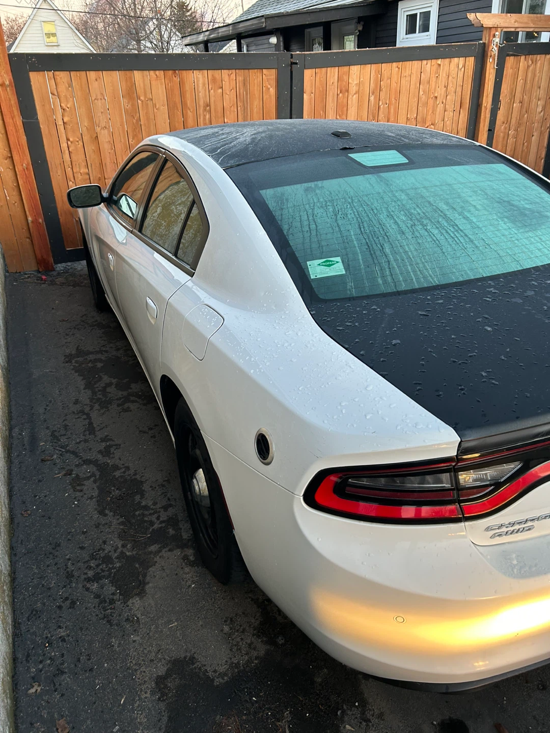White Dodge Charger - photo 2