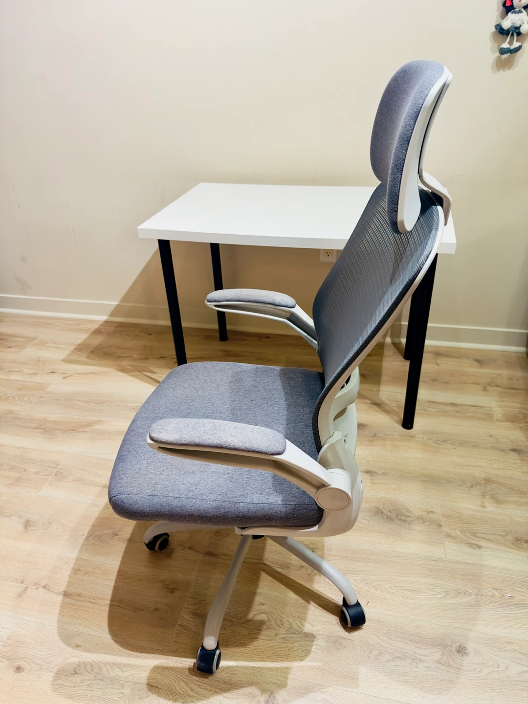 Work desk and Ergonomic chair