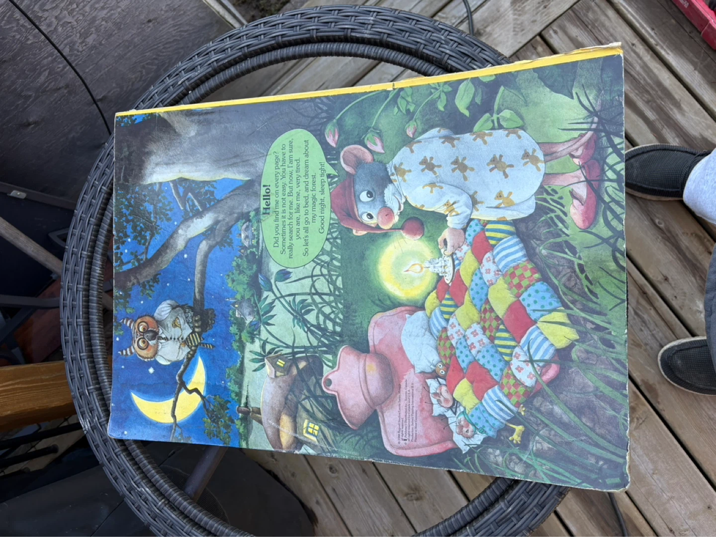 Willymouse in the Magic Forest Children's Book - photo 5