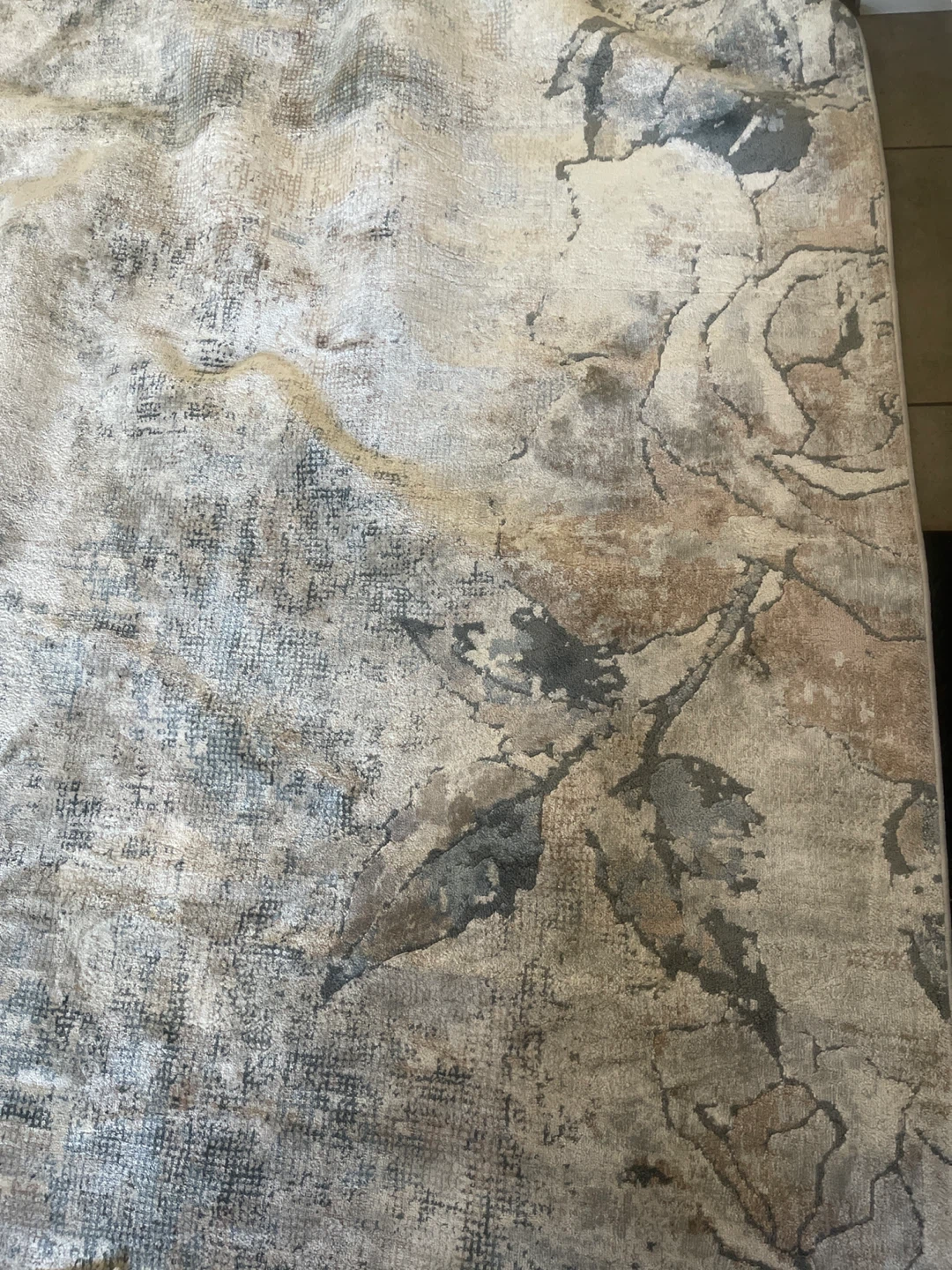Dynamic Rugs Blossom Collection Area Rug - 7'10" x 10' - photo 5