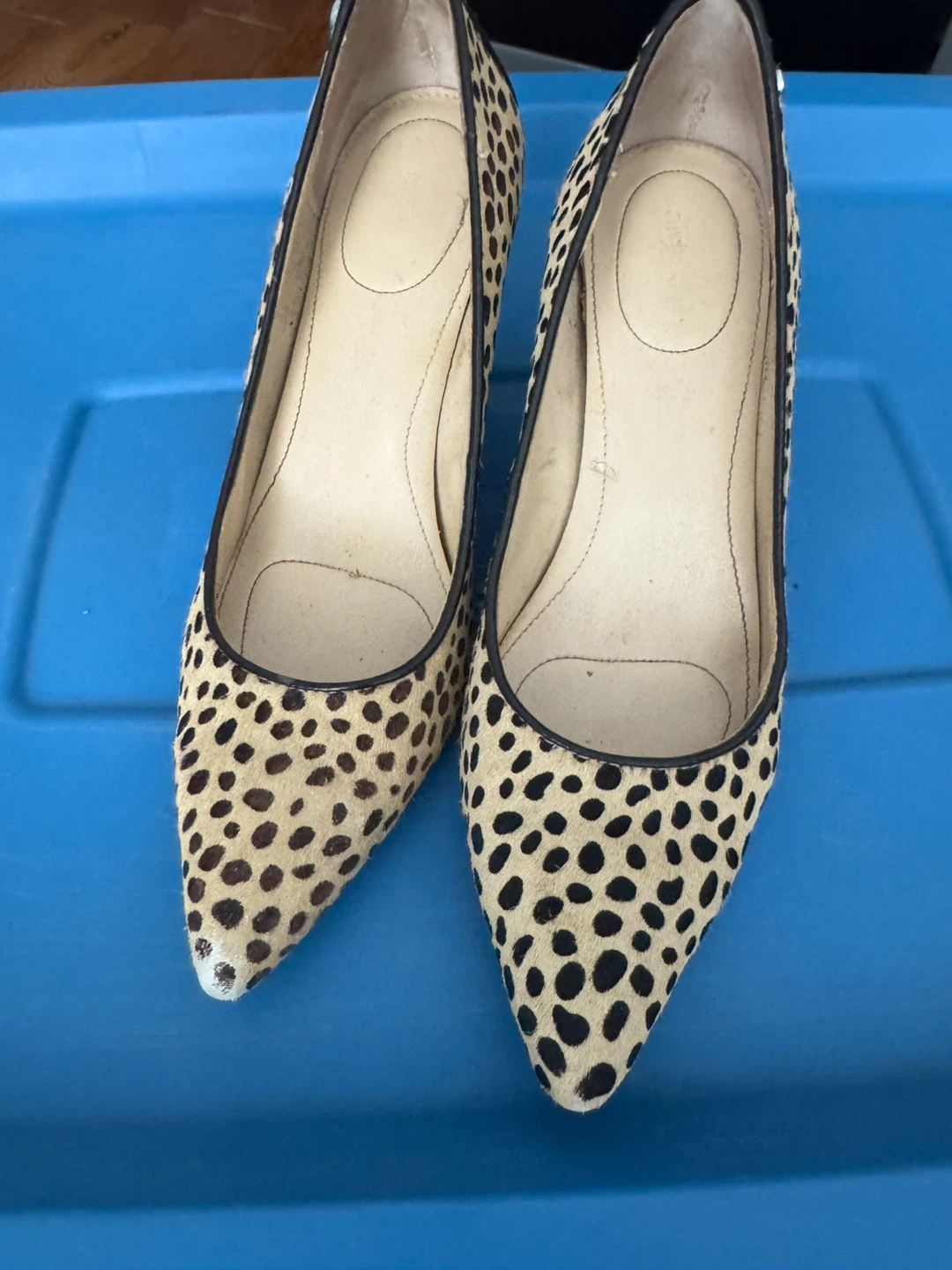 Calvin Klein Dalmation Print Calf Hair Heels