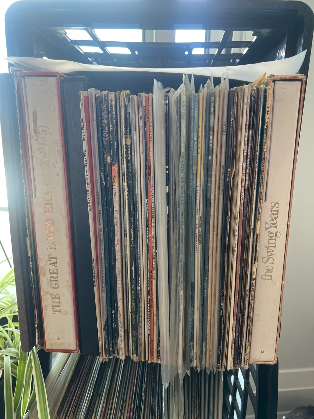 Collection of Vinyl Records