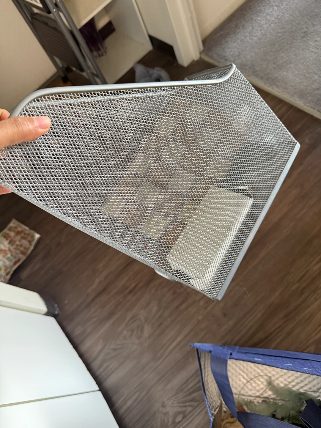 Silver Mesh Desk Organizer Tray