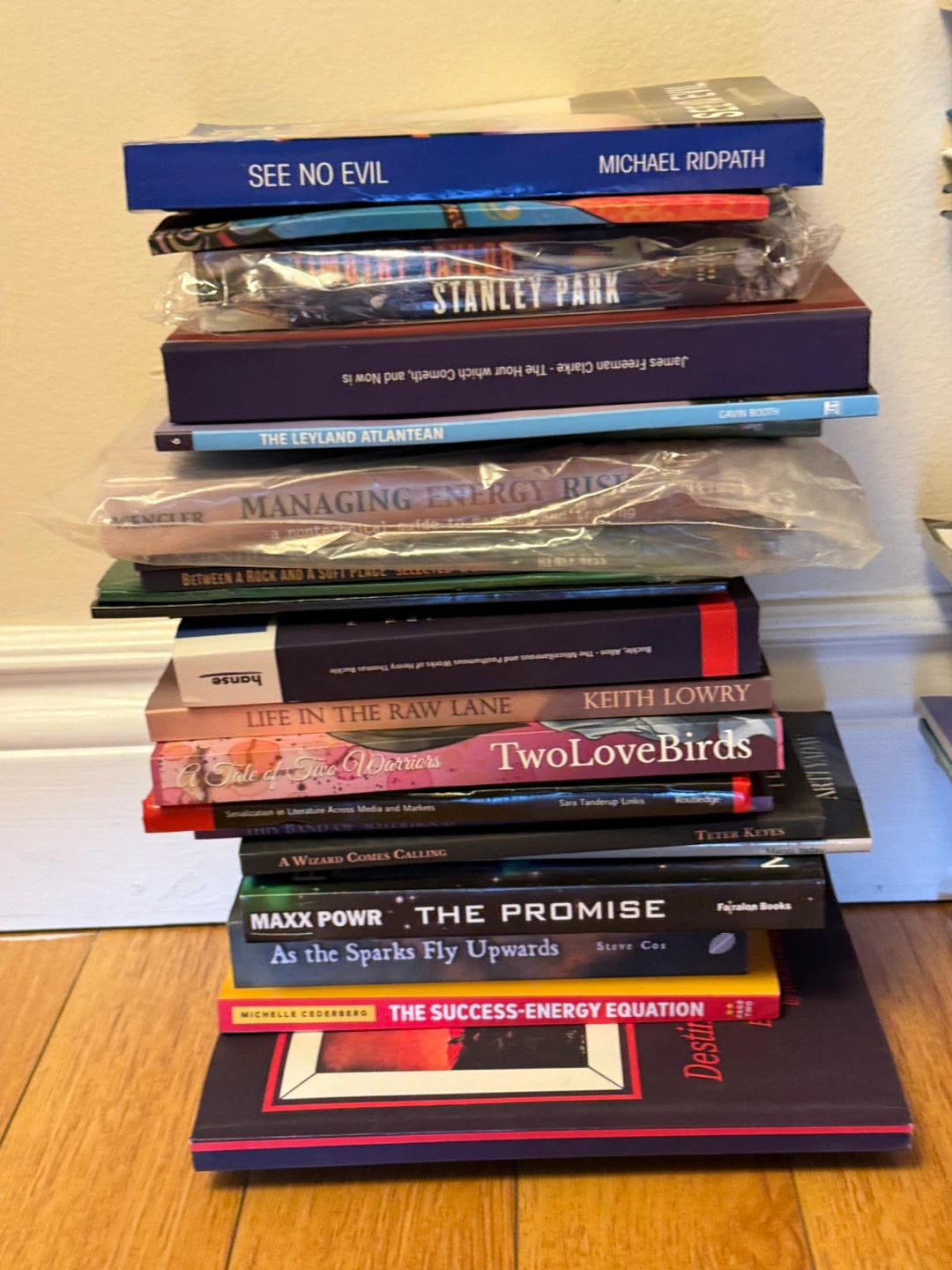 obo mixed assorted books - photo 3
