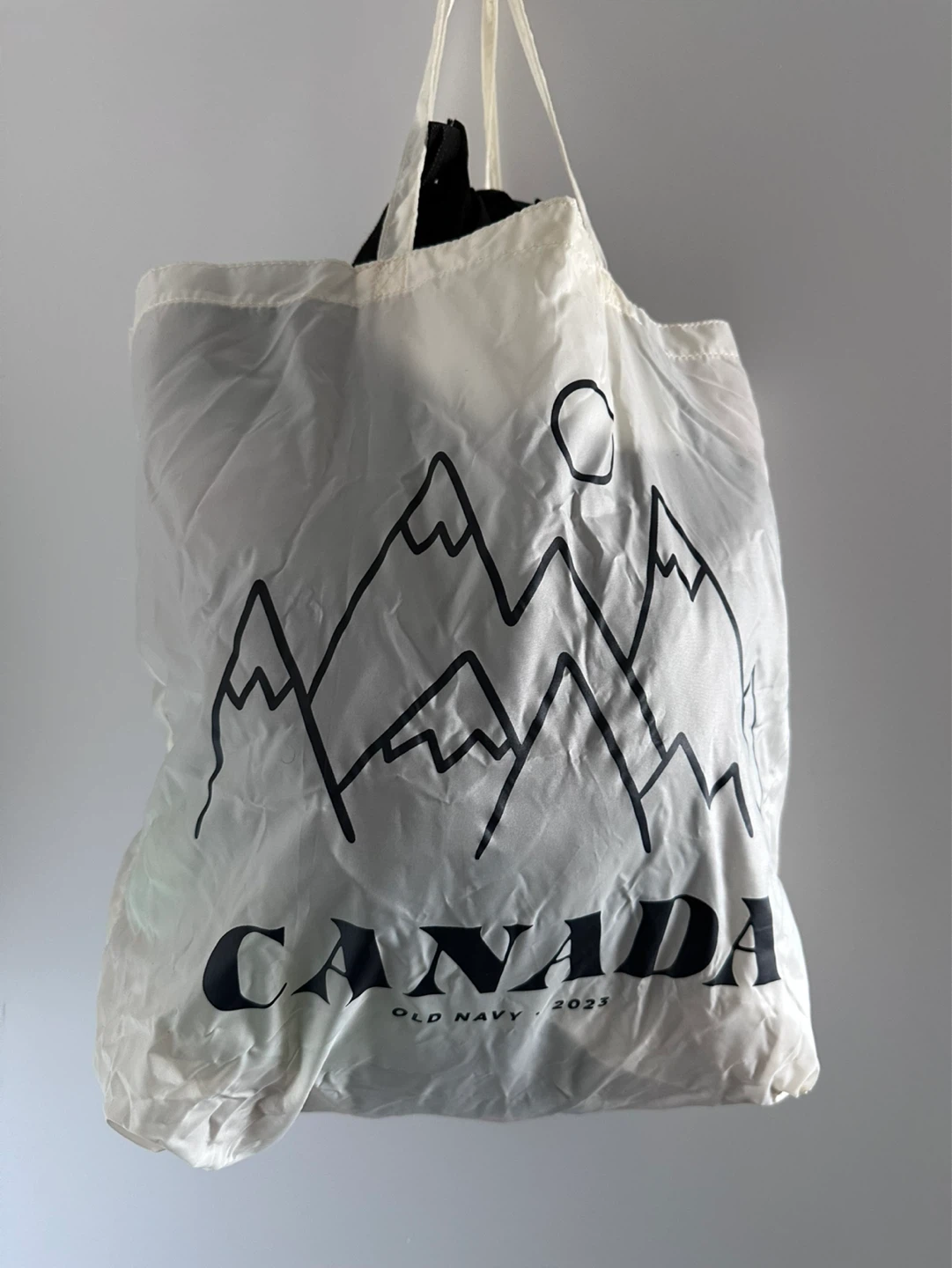 Reusable Tote Bags >12