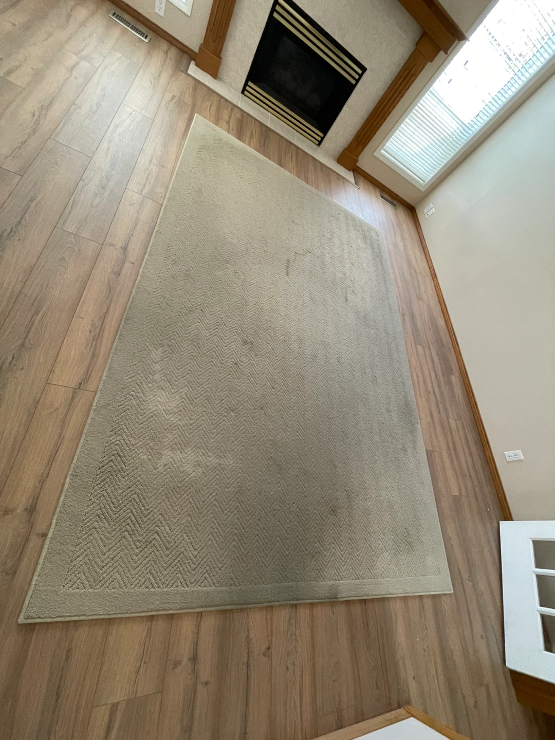 Area Rug - photo 3