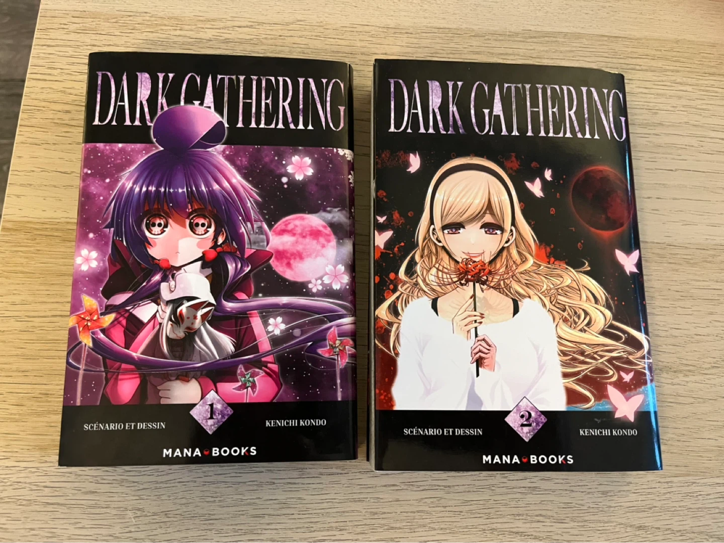 French Manga collection - photo 4
