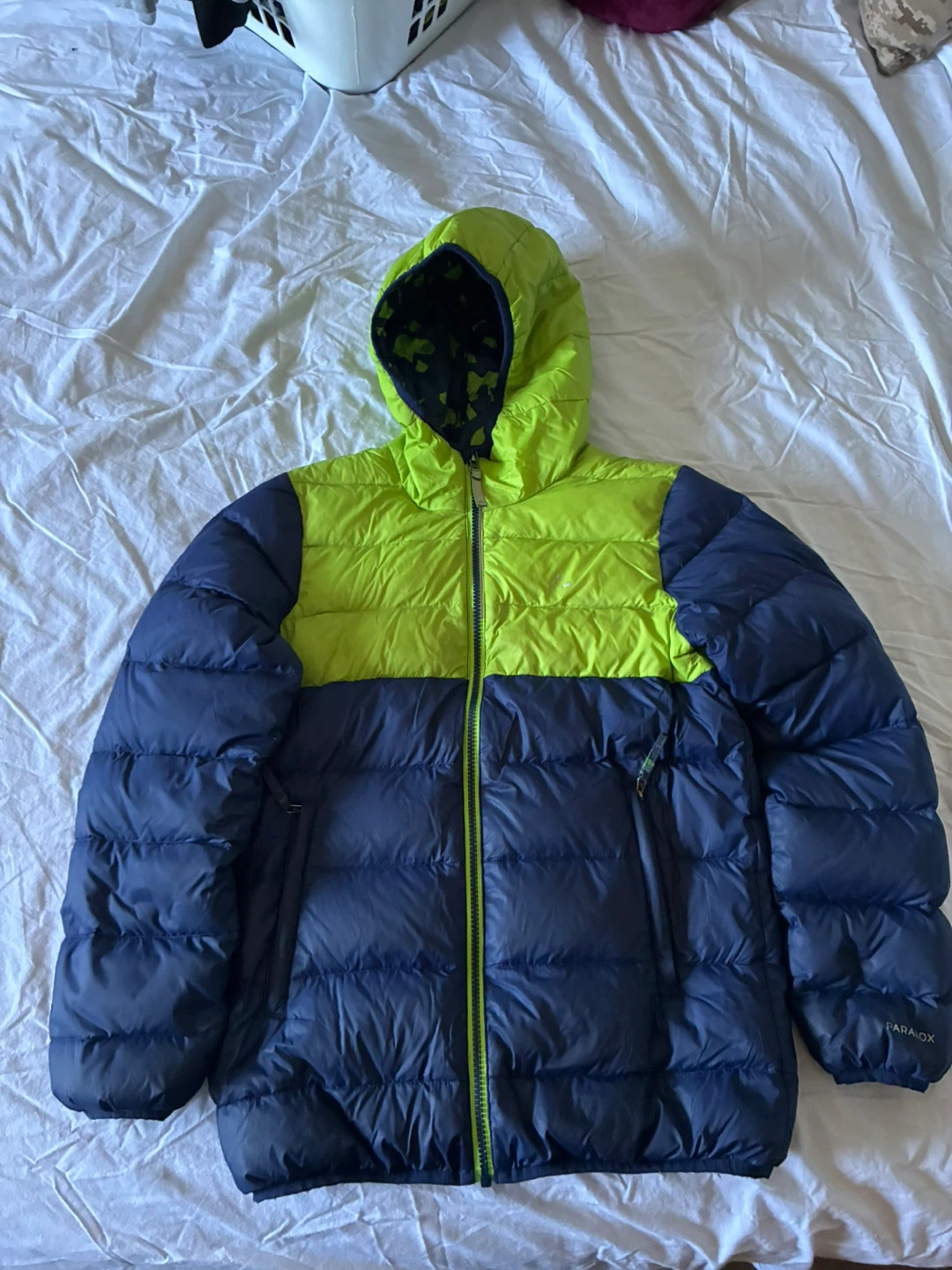 Paradox Kids Hooded Puffer Jacket - Blue/Lime Green - XL/TG