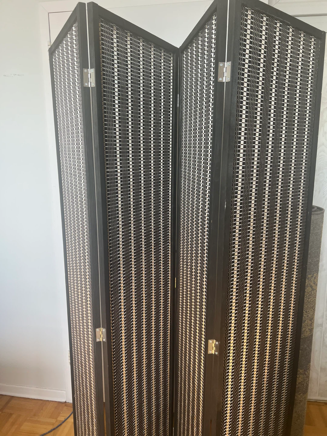 Folding Screen Room Divider