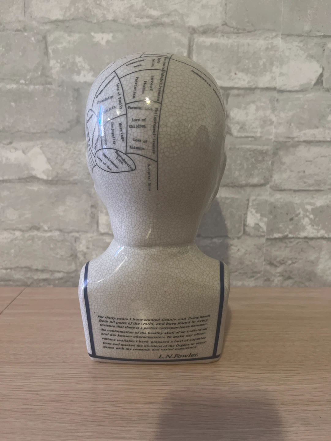 Phrenology Head Bust L.N. Fowler London - photo 3