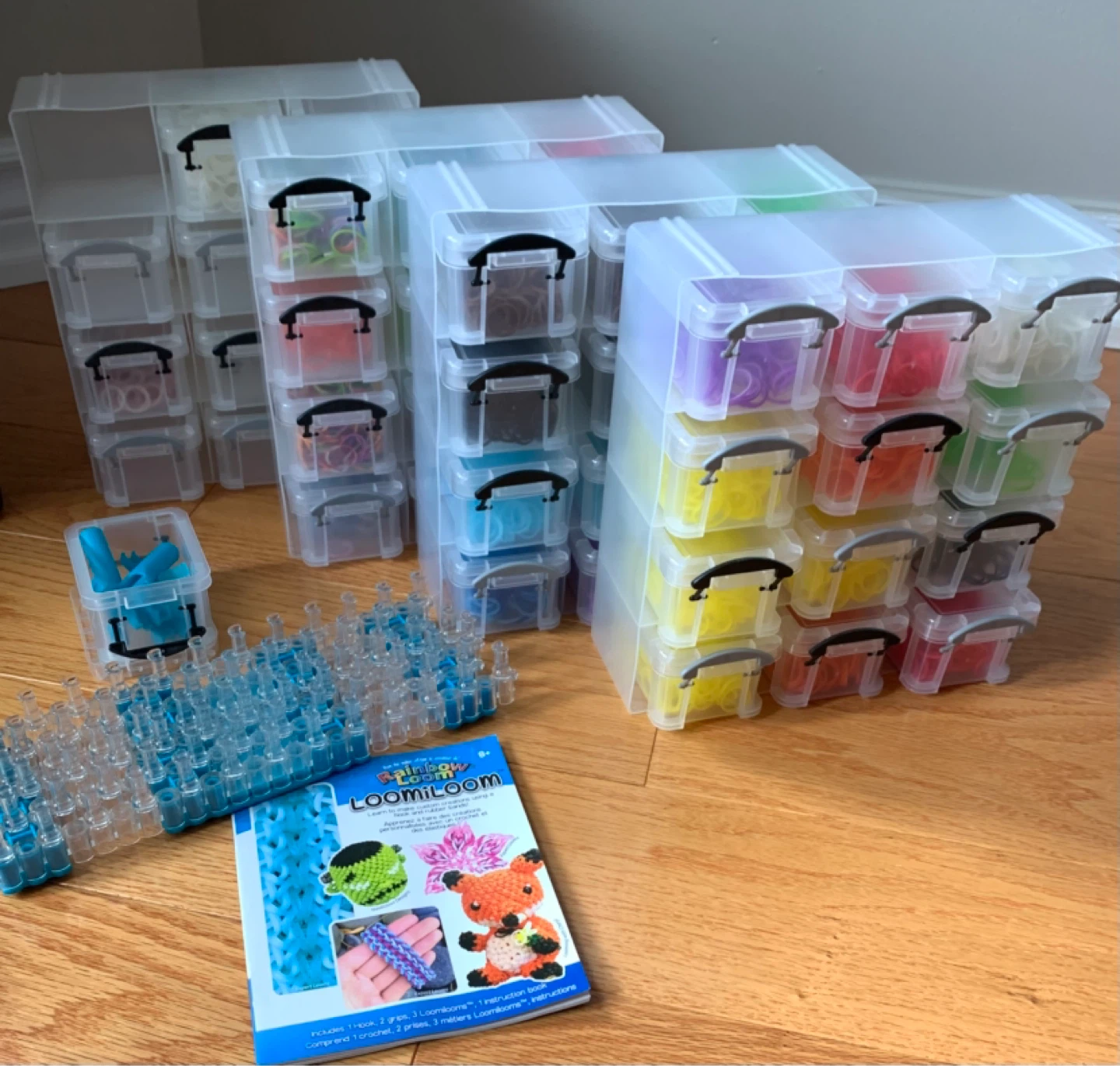 Rainbow Loom Kit and Organizer