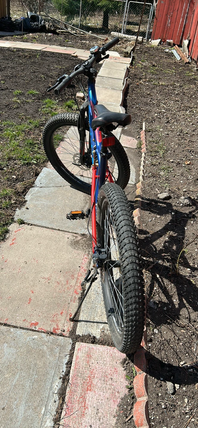 Supercycle Full Suspension Mountain Bike - photo 4