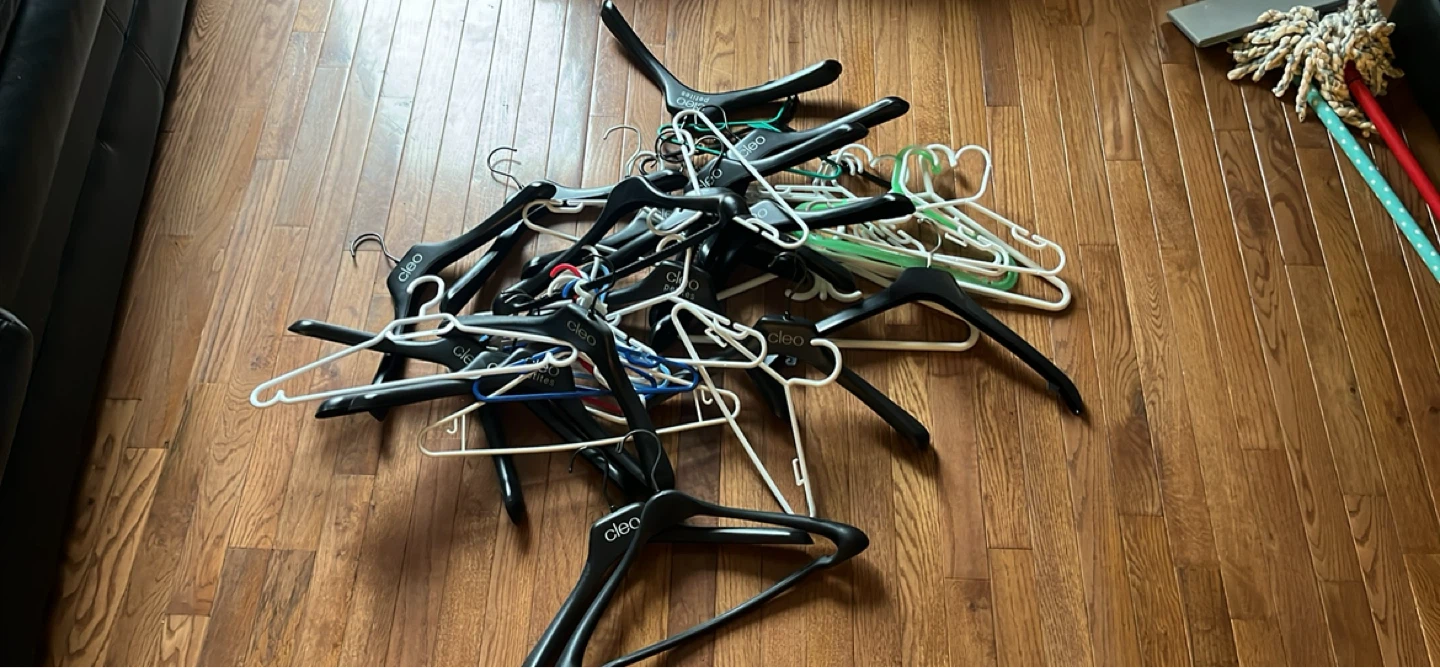 Bundle of CLEO Hangers