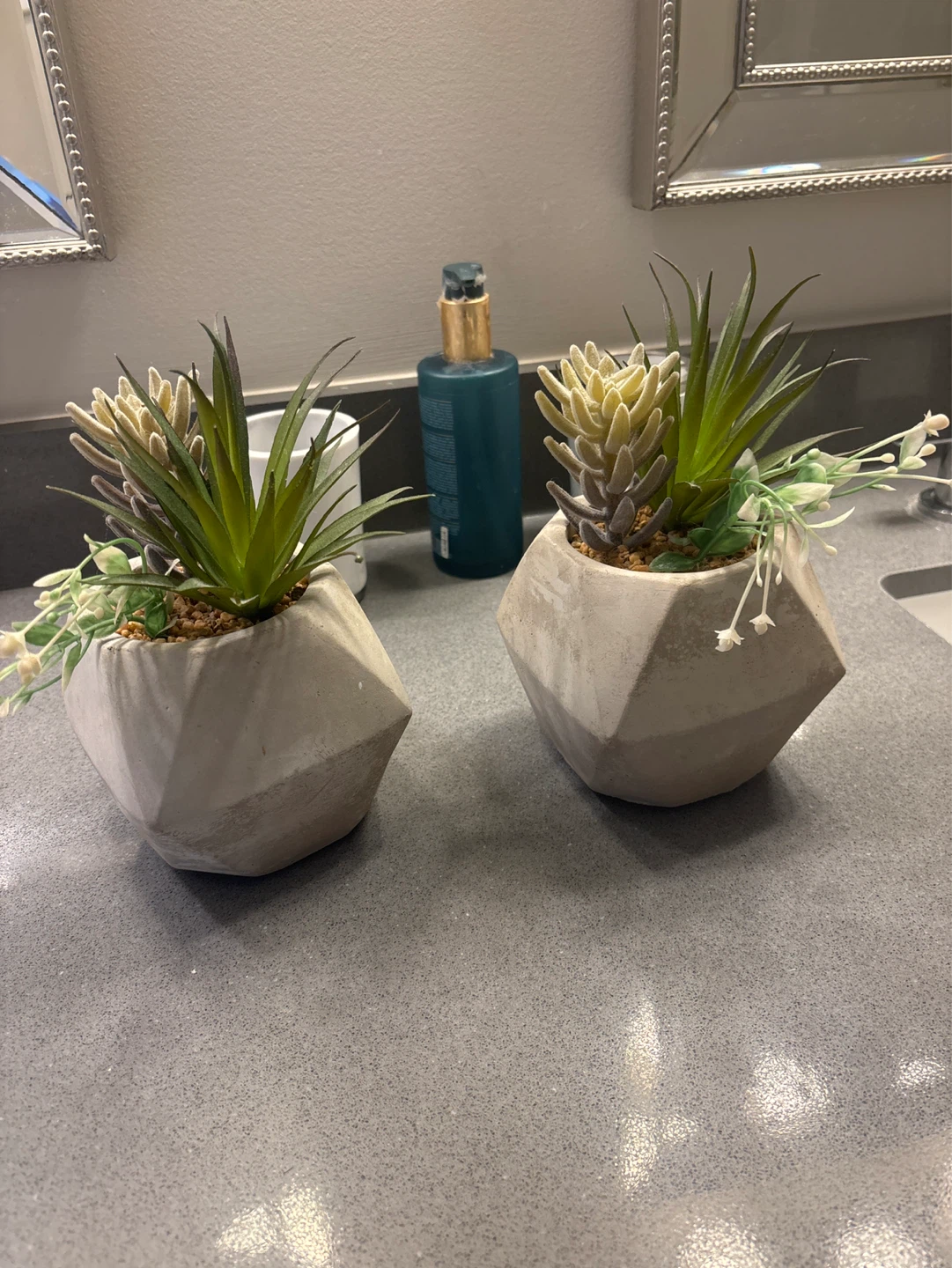 Set of 2 Geometric Faux Succulent Plants in Concrete Pots