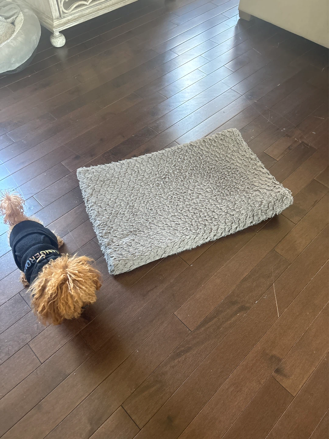Grey Plush Pet Bed Mat