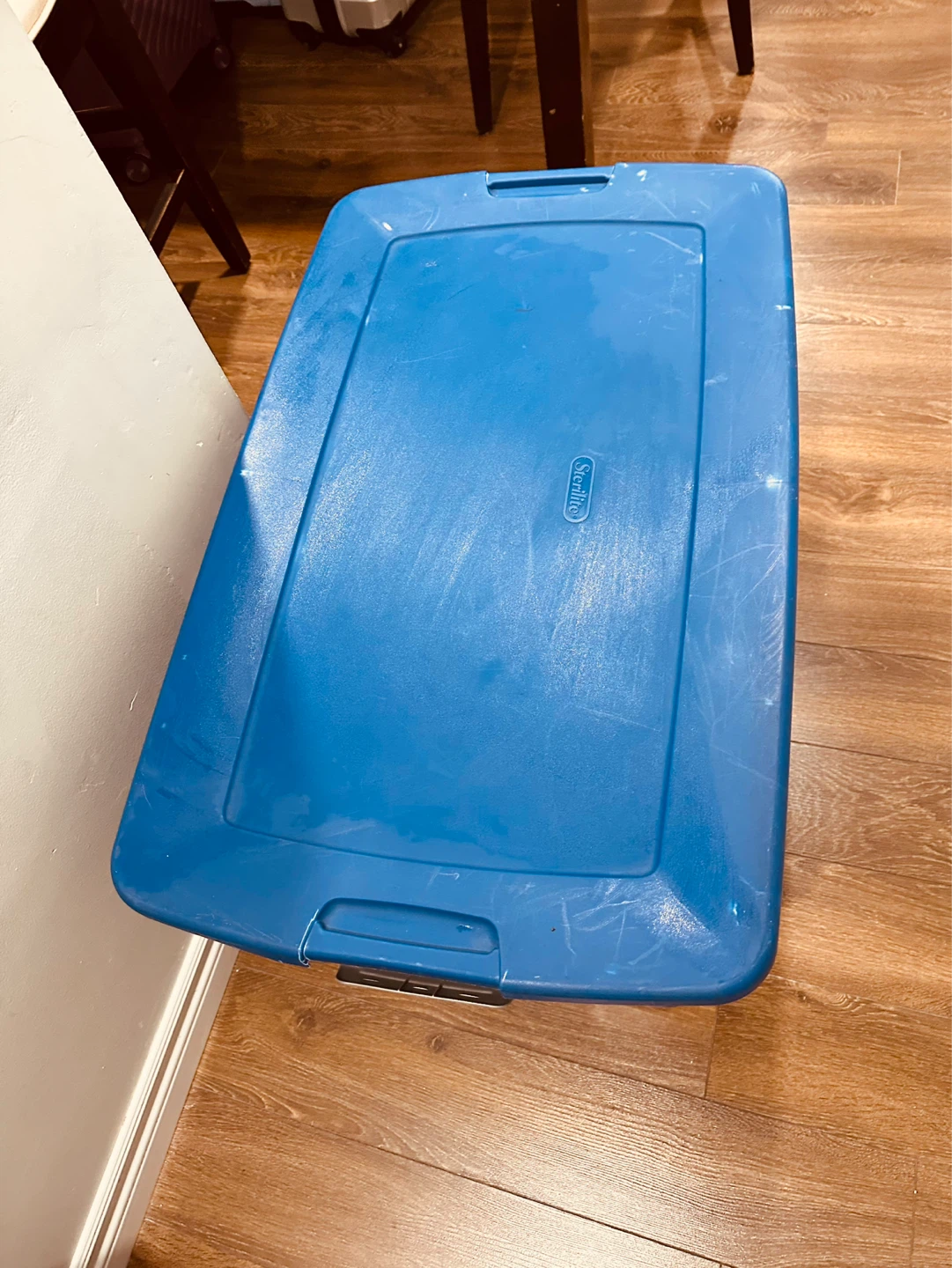 Sterilite Blue Storage Bin - photo 4
