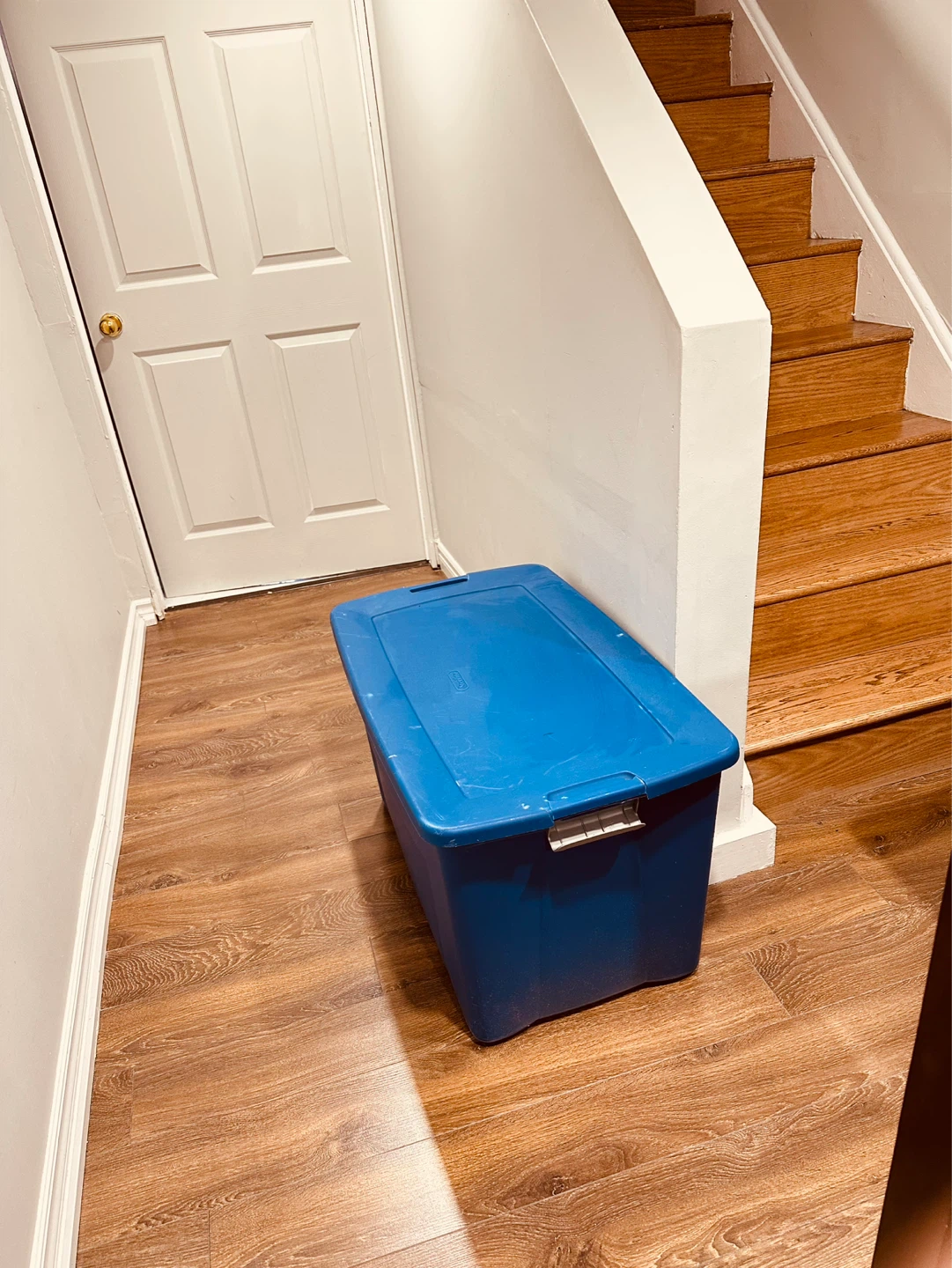 Sterilite Blue Storage Bin