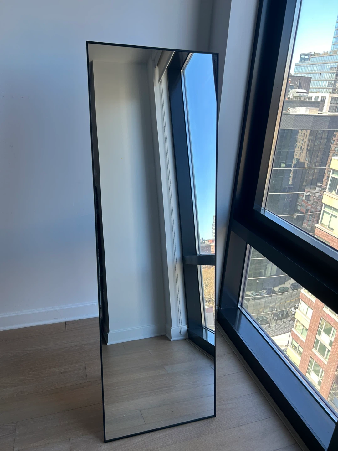 Full Length Standing Mirror with Black Frame