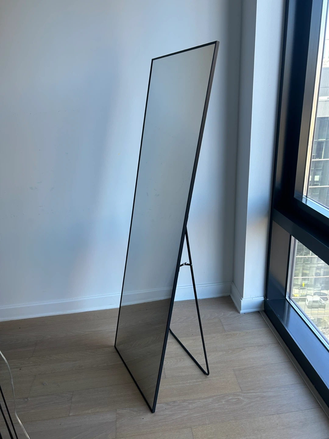 Full Length Standing Mirror with Black Frame - photo 3