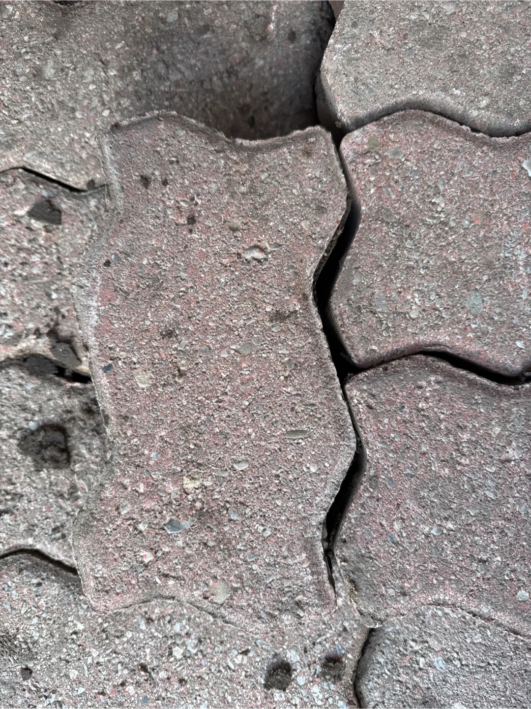 Free Interlocking Paving Stones - photo 3