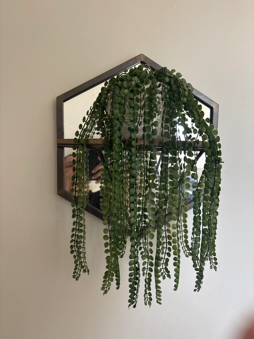 Artificial String of Pearls Plant in Decorative Pot