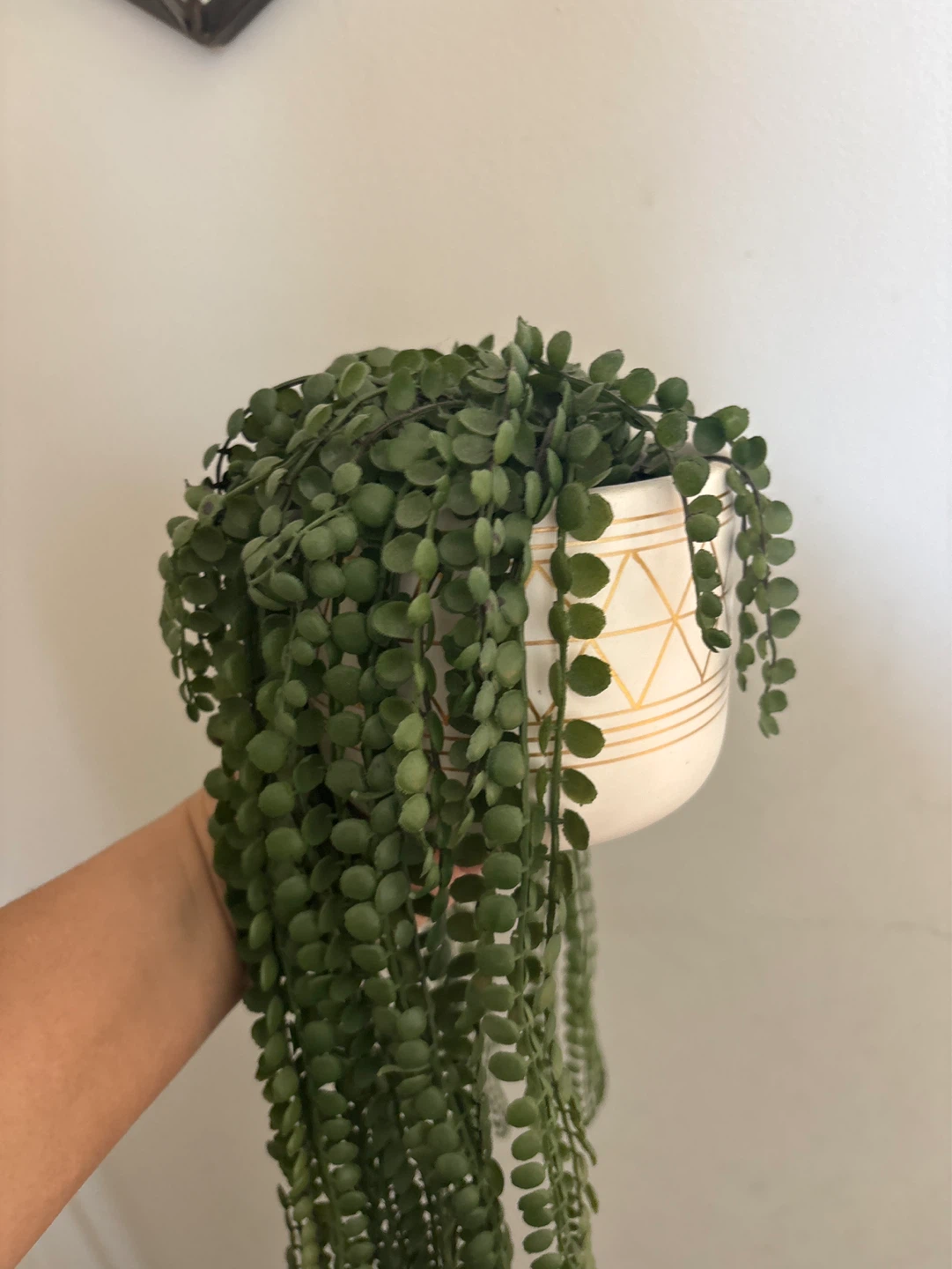 Artificial String of Pearls Plant in Decorative Pot - photo 5