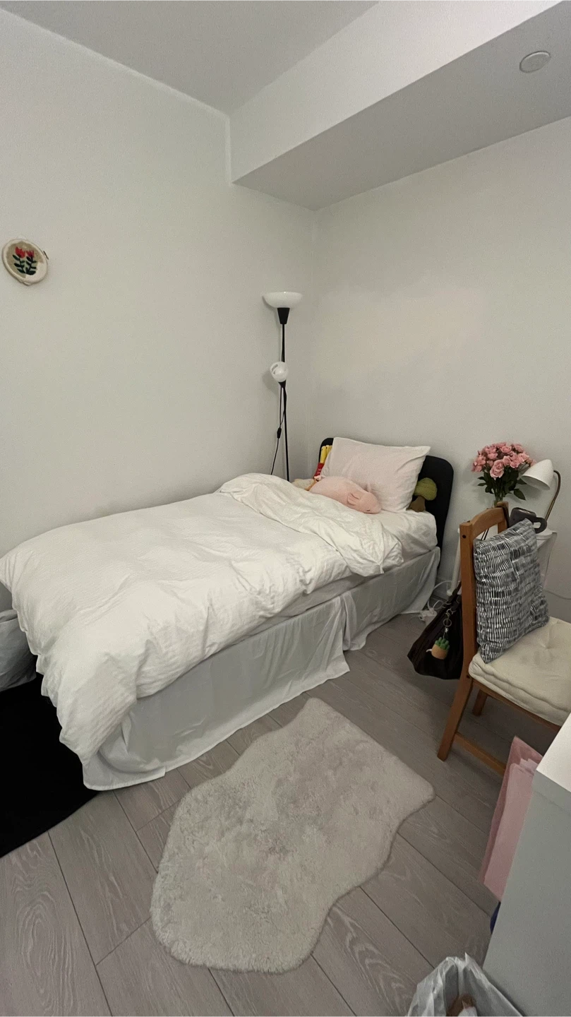 Single Room for Rent – Downtown Toronto