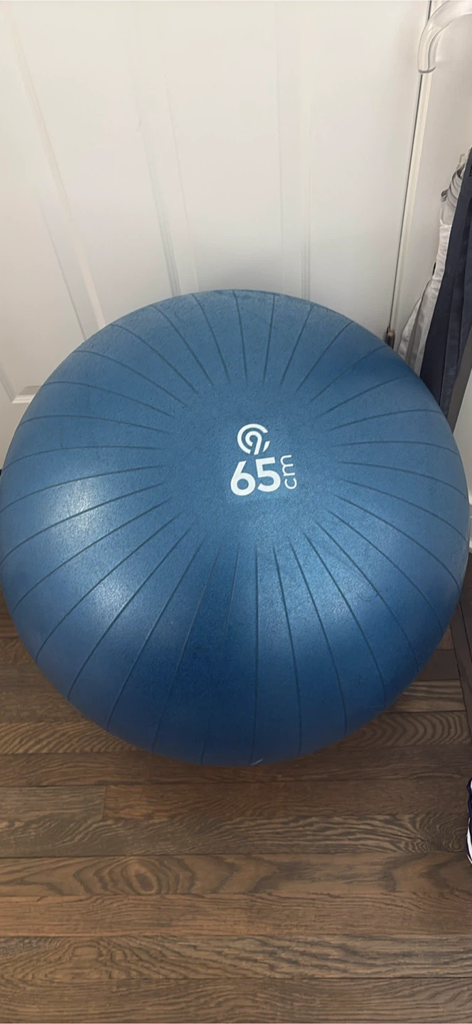 Champion 65cm Exercise/gym Ball - Blue