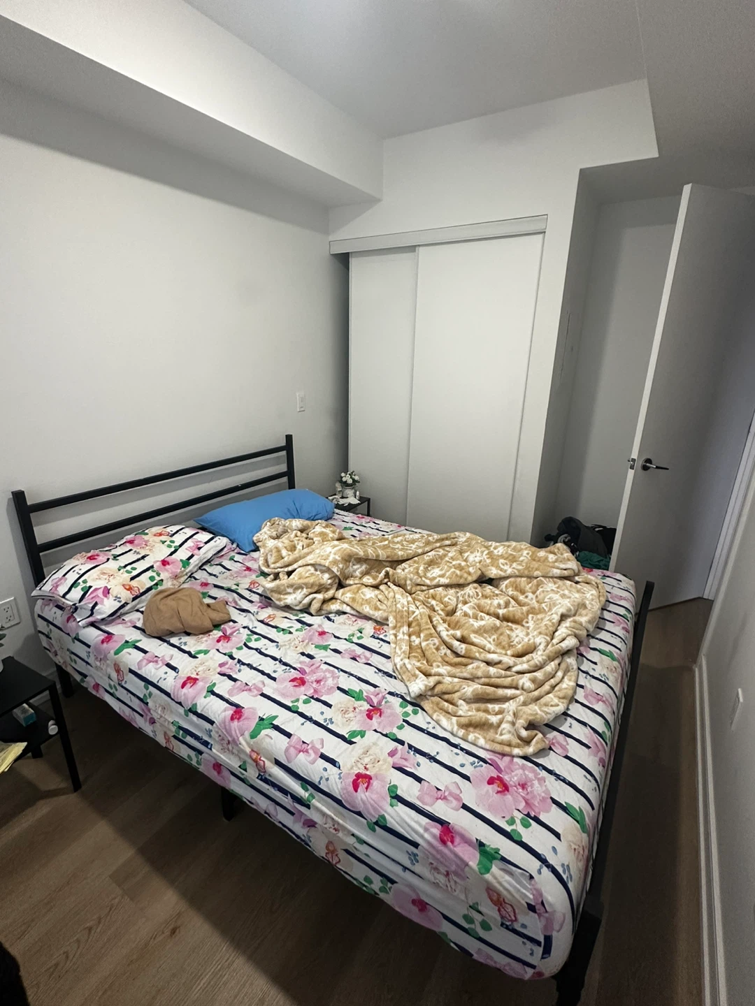 Black Metal Bed Frame- Queen Size
