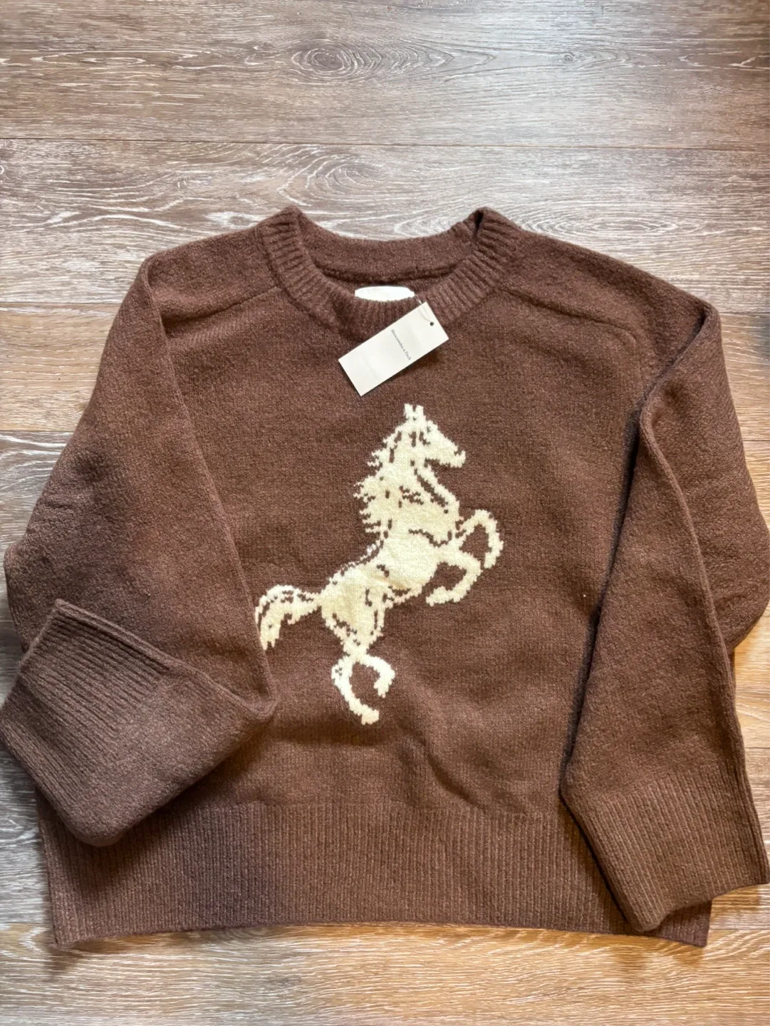 Abercrombie & Fitch Brown Horse Graphic Sweater